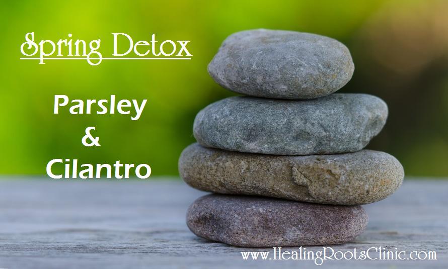 Detox Parsley Cilantro Natruopathic Doctor Denver Colorado