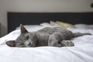 detox air filters