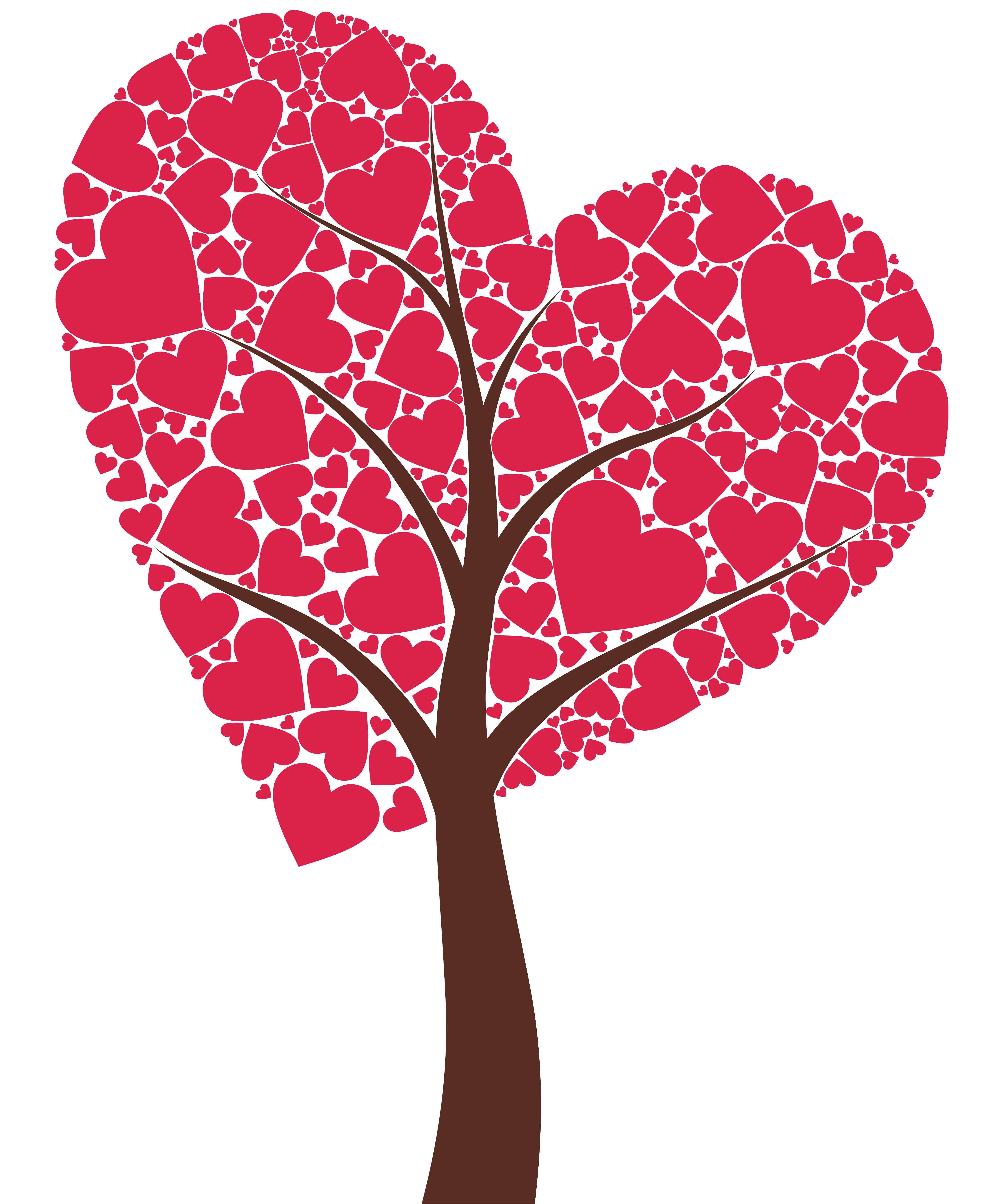 Healthy Hearts for Valentine's Day - Denver Naturopathic ...