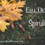 fall detox spirulina