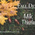 detox milk thistle